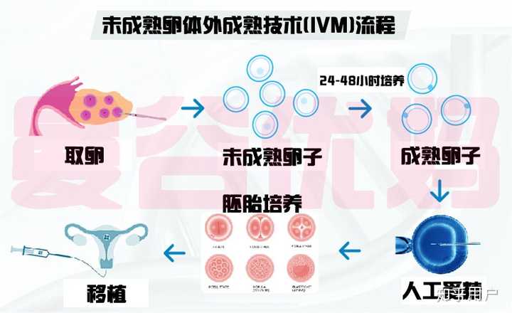 苏州妇儿医院赠卵试管婴儿成功率