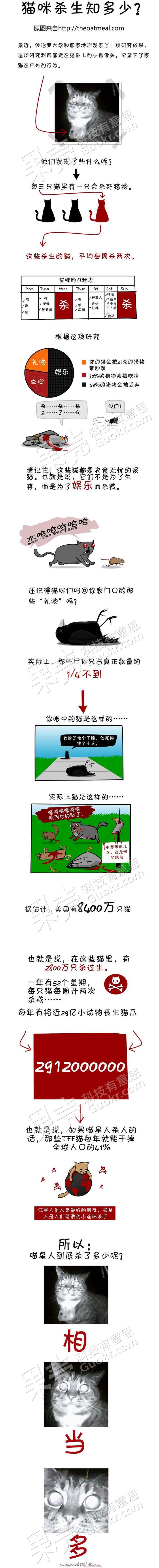 为什么我觉得猫是很恐怖的动物 知乎 为什么我觉得猫是很恐怖的动物 知乎