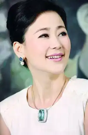 薛蛮子到底是公众眼中的天使投资人,微博打拐发起人?