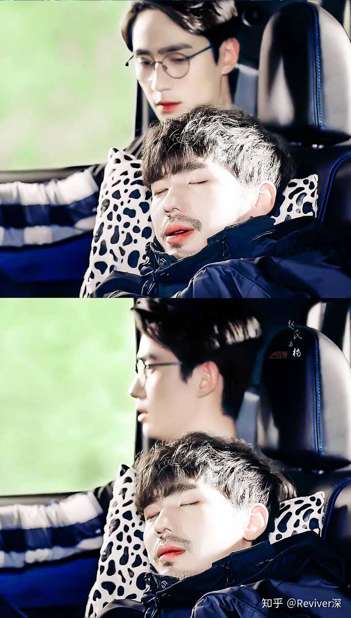 如果你能变成镇魂里的亚兽族,你觉得变成什么动物最有意思?