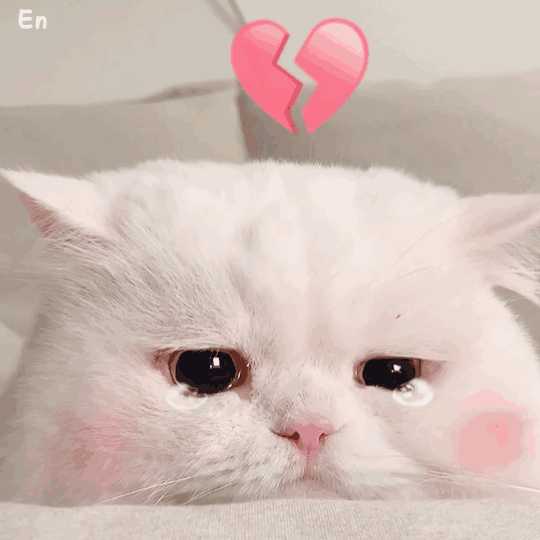 不去联系自己想念的人有多难?