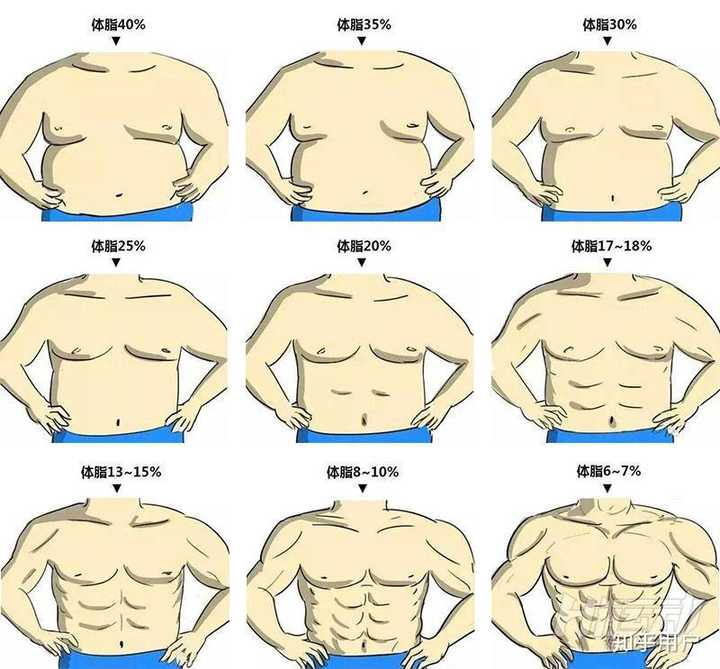 我155 130斤 体脂率24 6应该怎么减肥 知乎