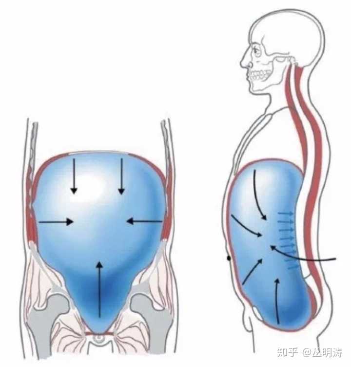 深蹲时核心一直保持收紧吗?收紧的话怎么呼吸啊?臀部也是全程收紧吗?