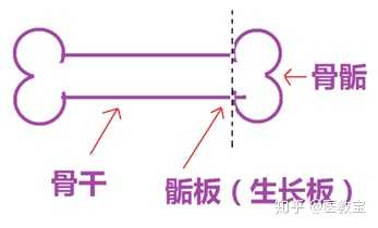 最早那一批做断骨增高的人，现在怎么样了？ - 知乎