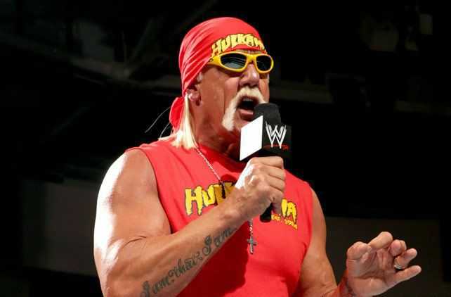 错就是著名的nwo组合,祸根和剃刀雷蒙还有凯文纳什一起组成的牛逼组合