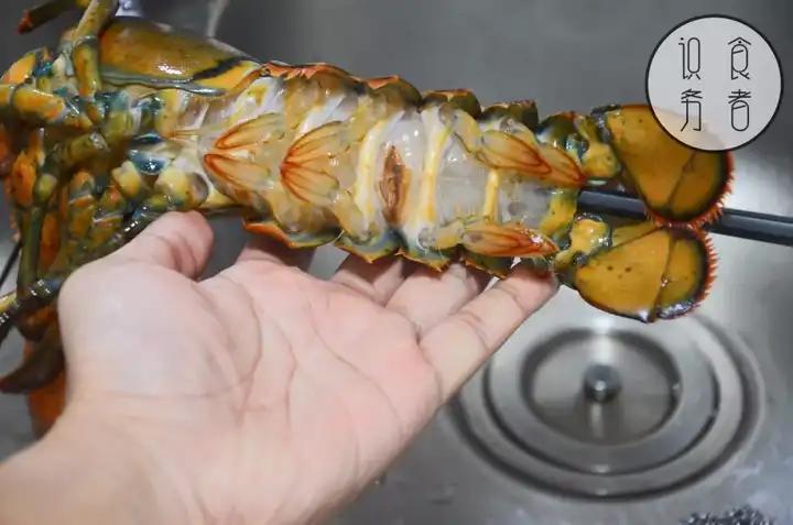 龙虾 指海龙虾 怎么做才好吃 知乎 龙虾 指海龙虾 怎么做才好吃 知乎