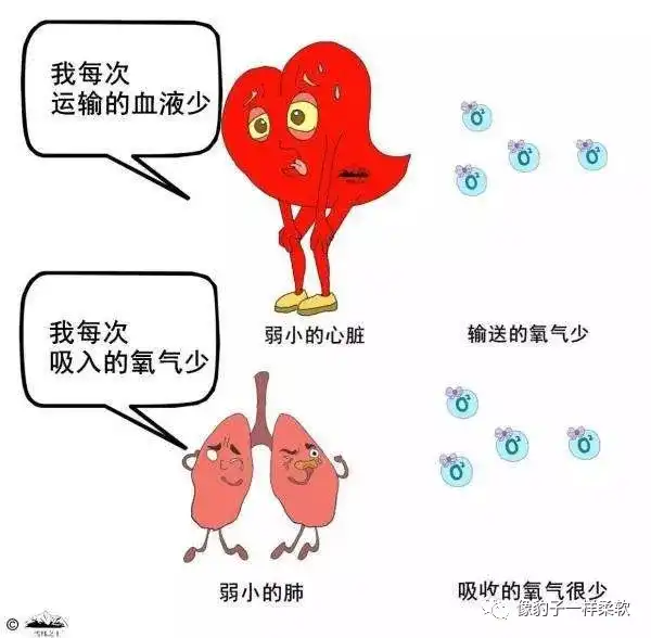 如何提高心肺功能 知乎 如何提高心肺功能 知乎