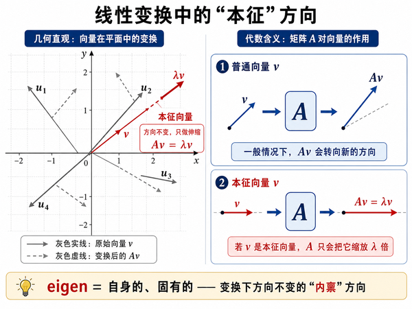 量子力学中为何那么关注本征值和本征函数？