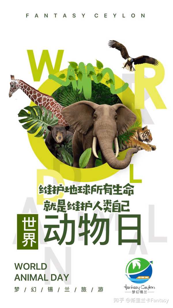 保护野生动物宣传片图片