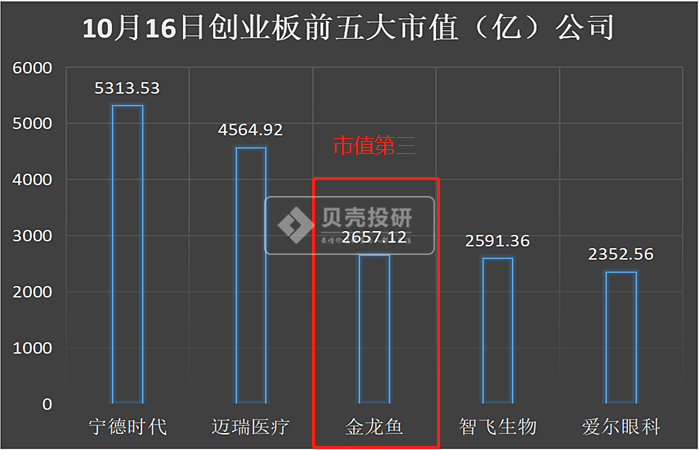 金龙鱼股票投资的风险与收益