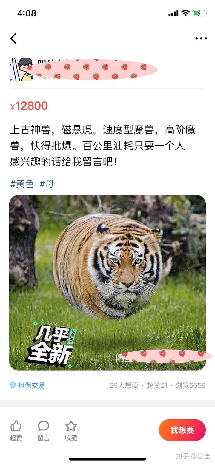 闲鱼上有什么好玩(沙雕)的东西?