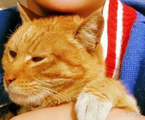 眼睛不好看毁了整张脸的情况存在么?