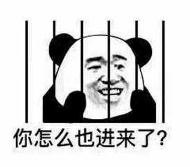 有没有让人笑到头掉的沙雕文案?
