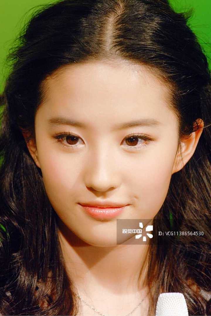 怎么没人按刘亦菲的样子去整容?