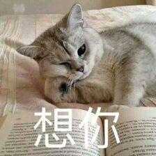 有没有那种既沙雕又搞怪的朋友圈文案?