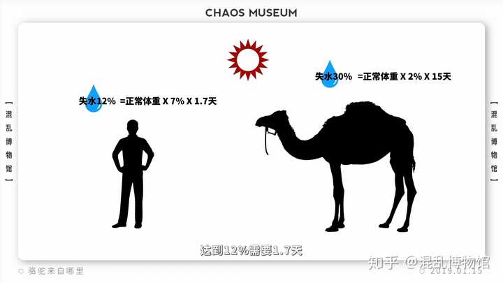 沙漠之舟是什么动物