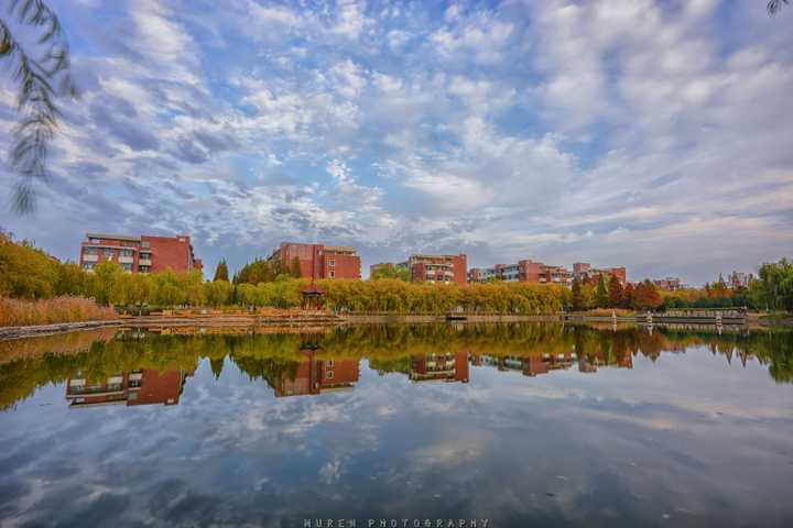 青岛大学琴岛学院改名_青岛大学琴岛学院_青岛大学琴岛学院学费2020