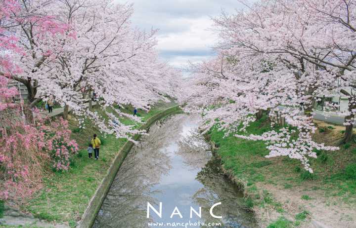 想去日本深度旅游 有哪些冷门的地方景点一定要去 多啦c梦的口袋的回答 知乎 想去日本深度旅游 有哪些冷门的地方景点一定要去 多啦c梦的口袋的回答 知乎