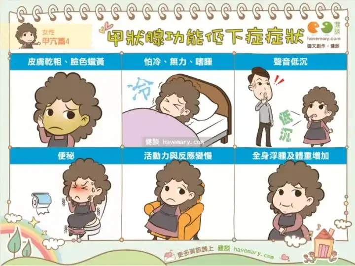 甲状腺主要负责各个系统的调节,例如新陈代谢和体温,甲状腺功能减退