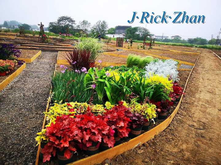 园艺师的世界:蔬菜花园,将重新定义可食用景观(造景篇)zhuanlan.