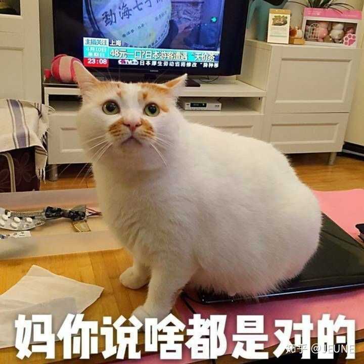 emmmm这是我现在用的头像,我的母上大人很满意)