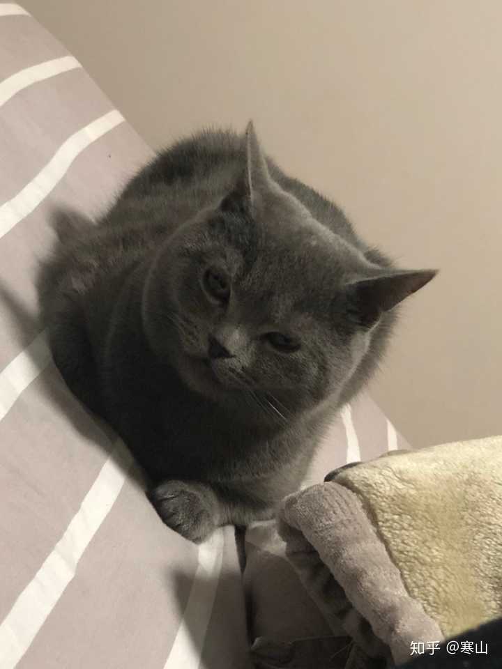 在怀里睡醒发呆