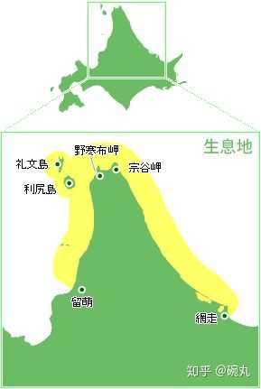 昆布和海带是一个东西吗 知乎