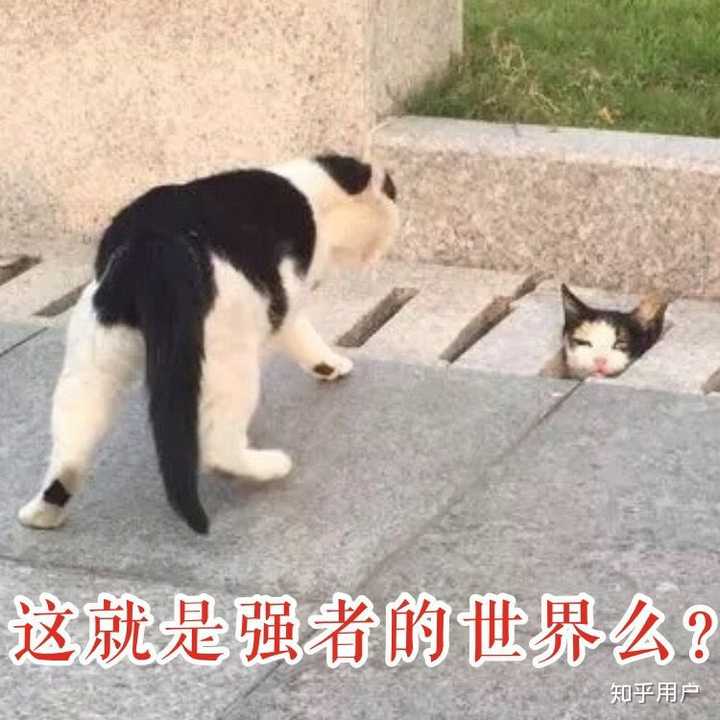 综艺节目有哪一幕让你看了最生气?