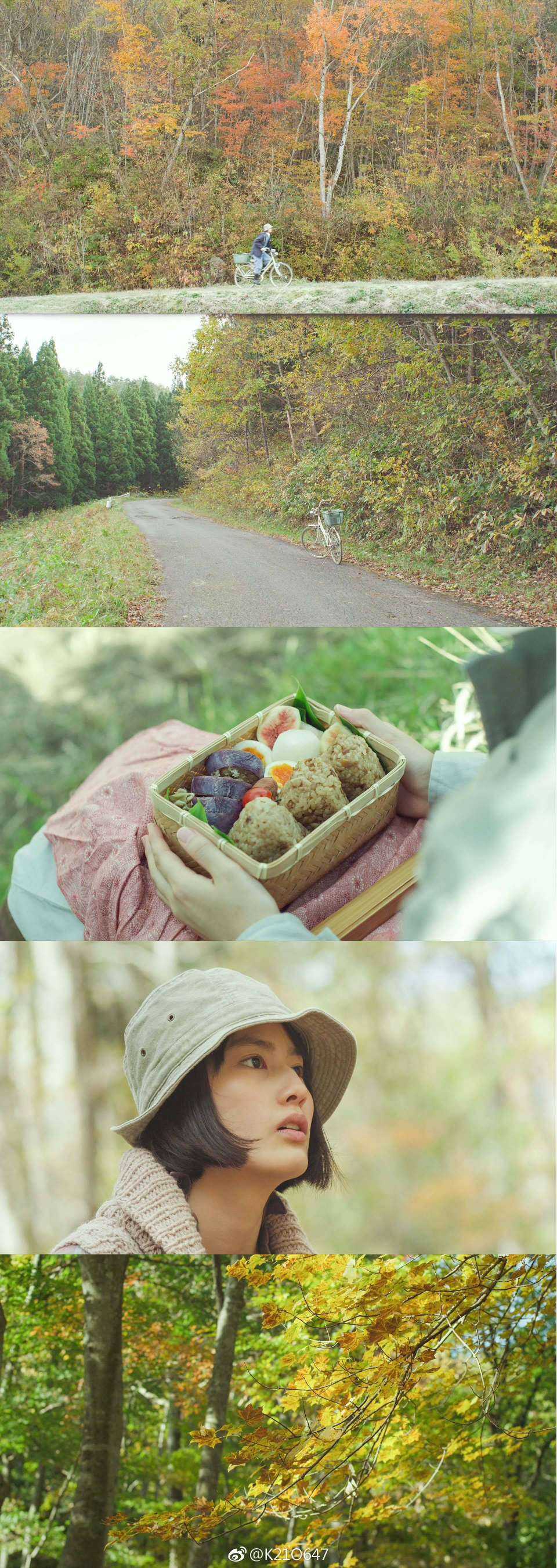 今日推荐《小森林 夏秋篇》