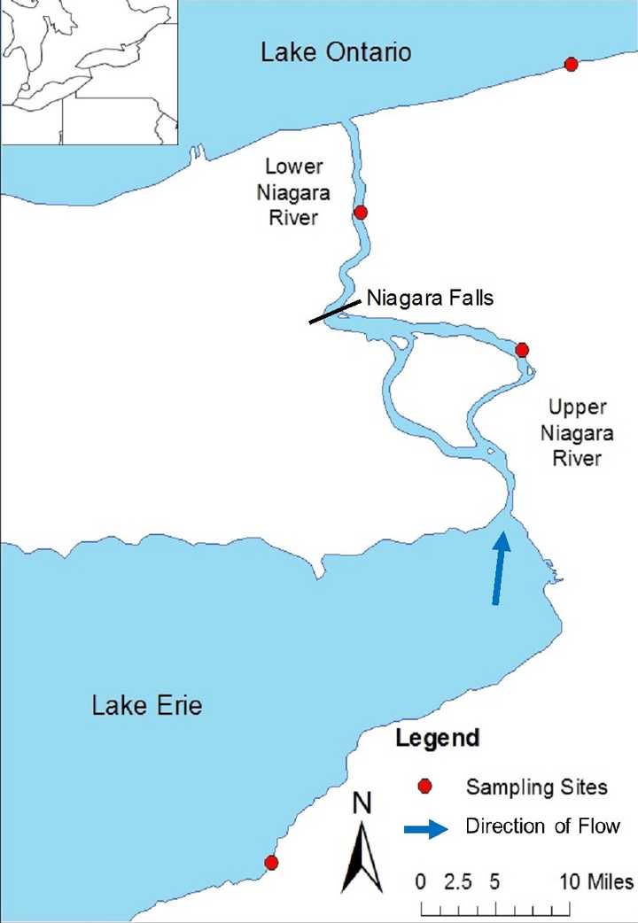 尼亚加拉河地图图片