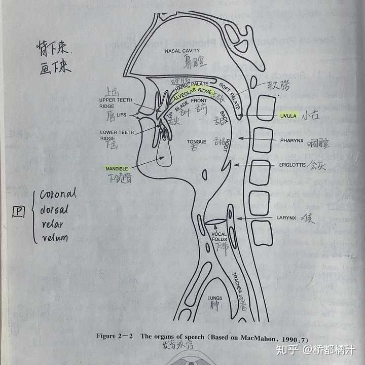 英语试讲教案h模板