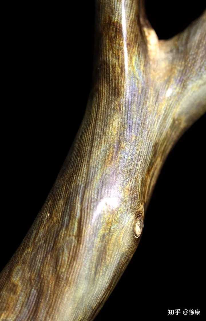 徐康:金珊瑚-收藏界追捧的稀世藏品- 知乎