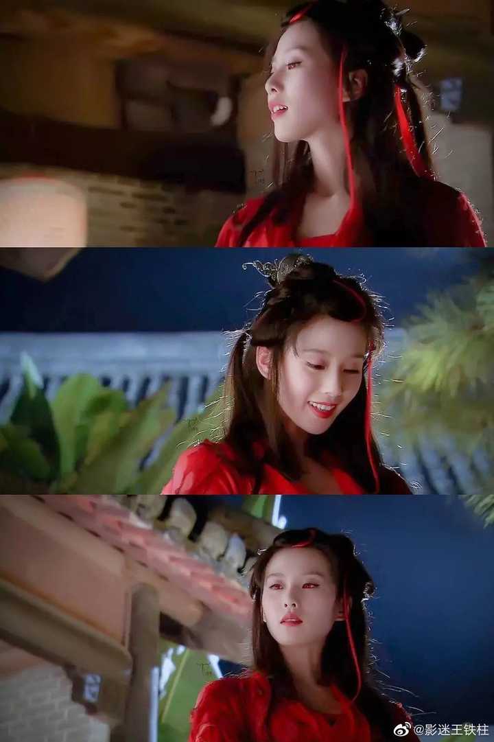 红龙葵也太好看了叭,a爆啦!