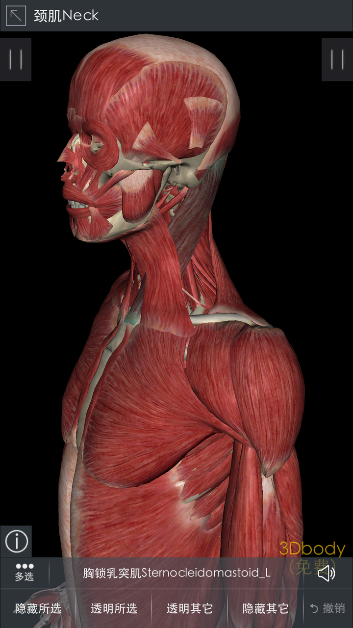 女生健身如何保护关节? - 知乎