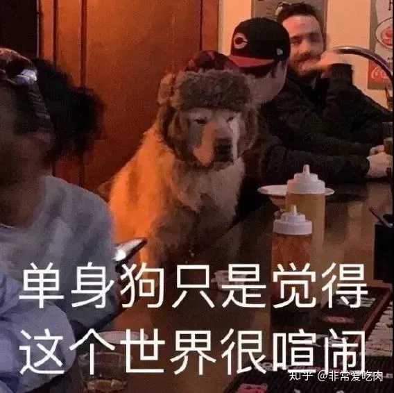 牡丹英语怎么读 牡丹英语发音怎么读音 牡丹的英文读音 牡丹英语怎么读 牡丹英语发音怎么读音 牡丹的英文读音