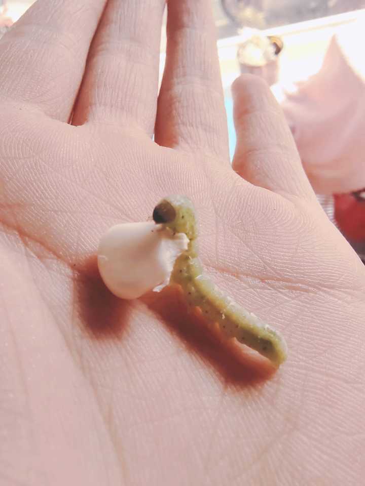 医学生一辈子就该无趣吗