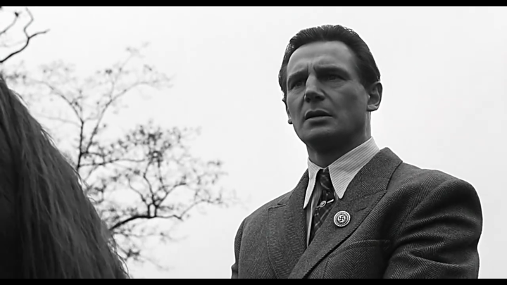 如何评价电影辛德勒的名单schindlerslist