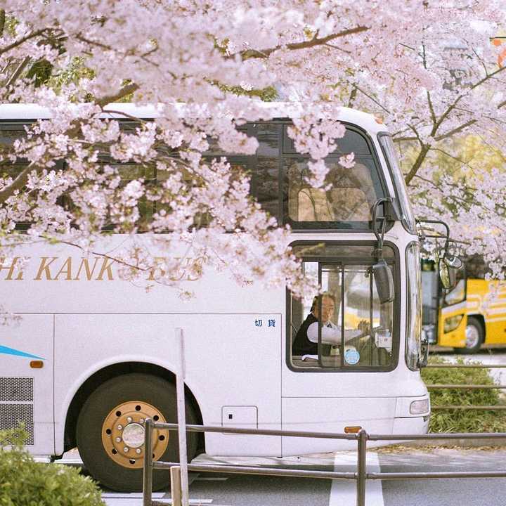 在可爱的电车沿线 除了春天禁止入内  ——谷川俊太郎