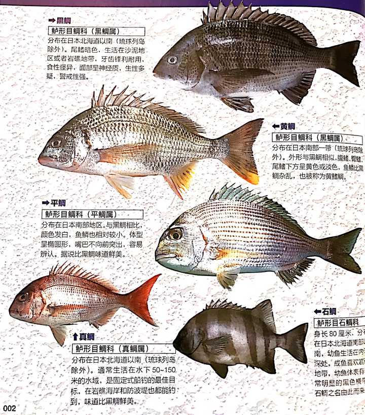 钓鱼难在哪 知乎