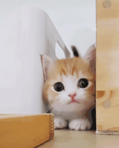 400_500竖版 竖屏gif 动态图 动图