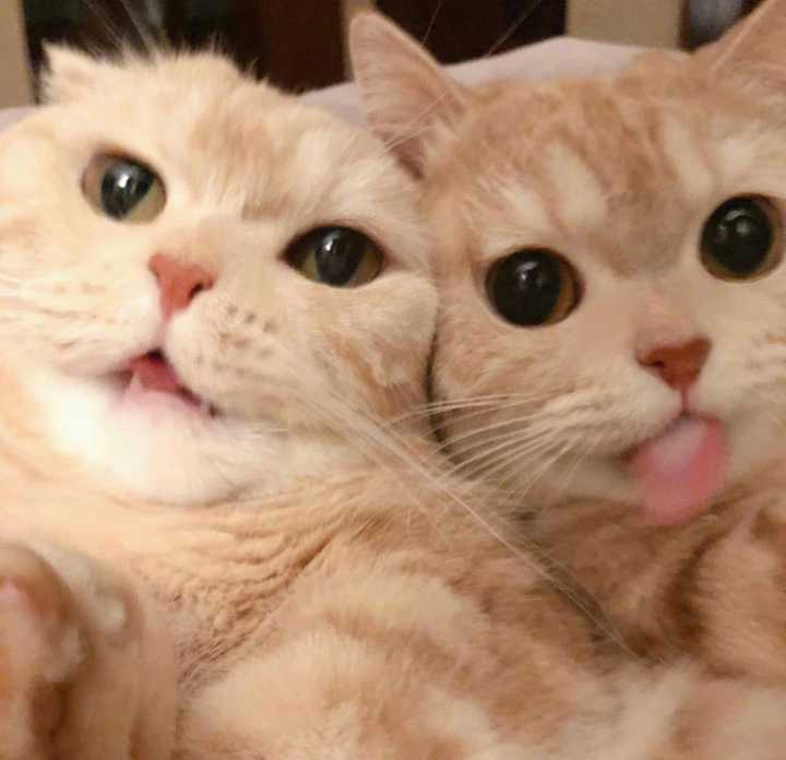 Rsxjb0gshihdcm Rsxjb0gshihdcm