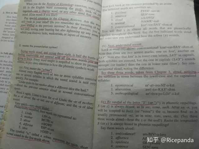 你有什么值得分享的高效学习方法 Ricepanda 的回答 知乎 你有什么值得分享的高效学习方法 Ricepanda 的回答 知乎