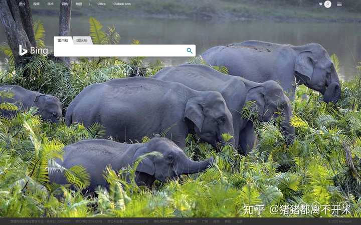 电脑搜索功能不能用