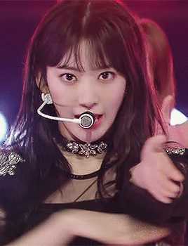 为什么izone解散后小樱花不去三大社?