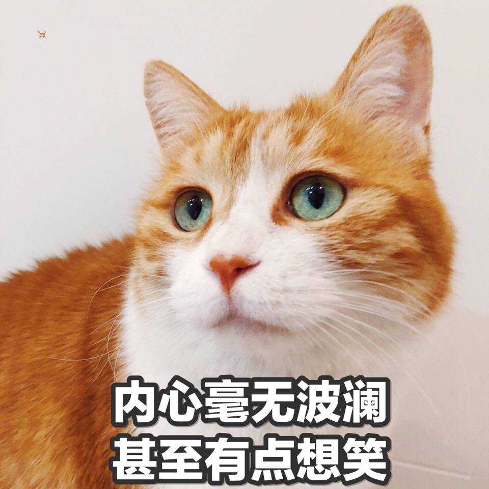 v2-e37c1f8029550134fc5446364a677fd7_r.jpg