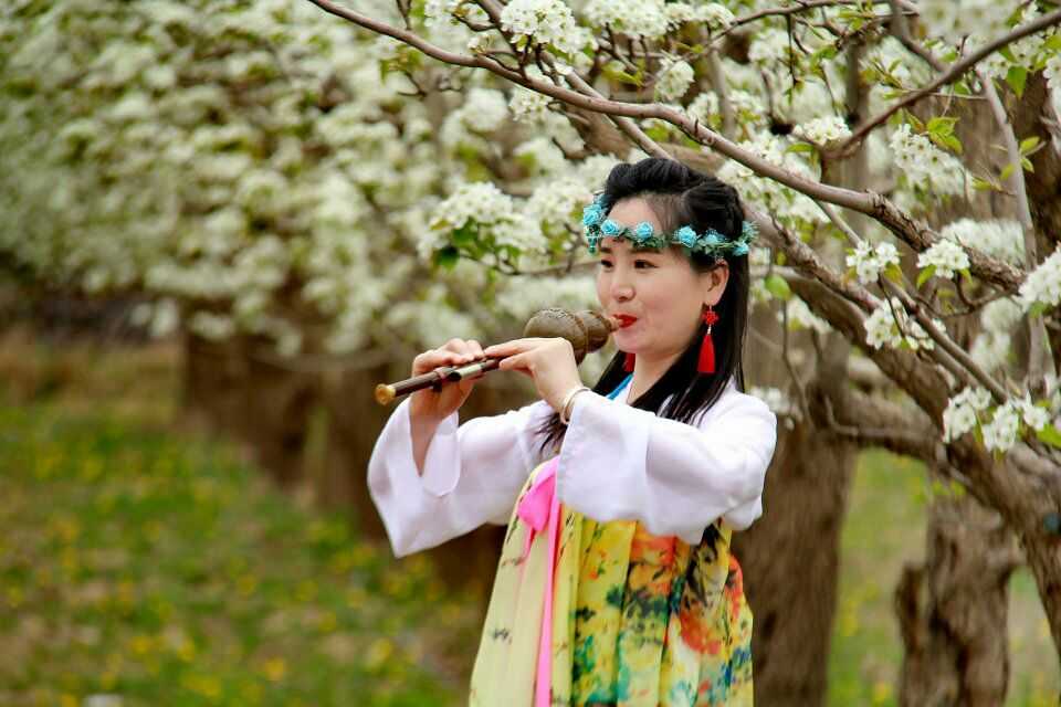 古装风￡梨花仙子穿越到张掖九公里梨花园