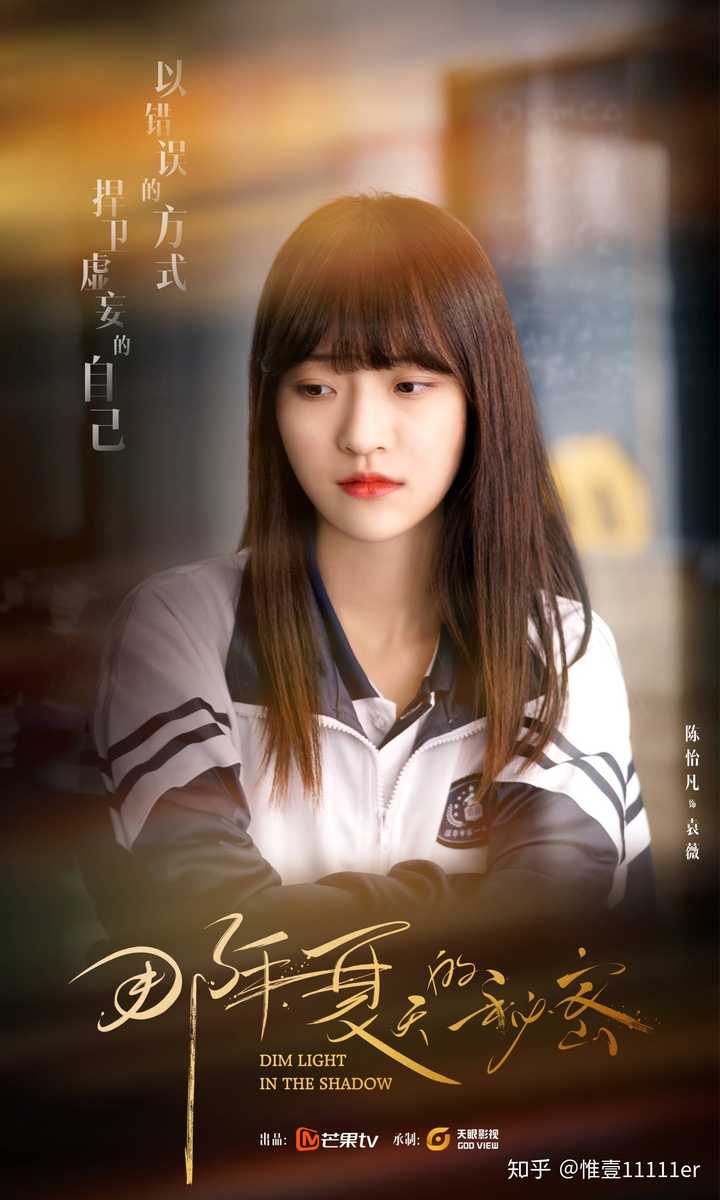 如何评价电视剧《那年夏天的秘密》?