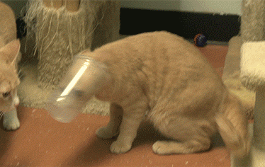 说别人玻璃心的时候,是怎么想的?