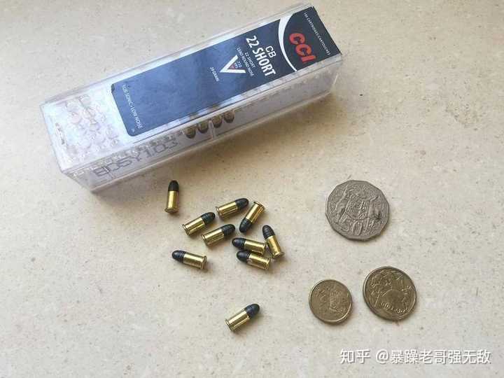 22lr是很弱的子弹,但是对新手很友好