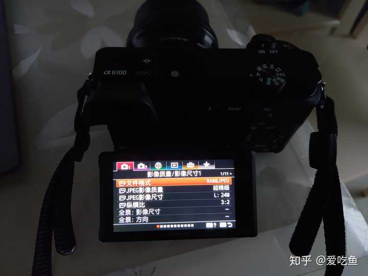 新手入门哈,请问在佳能m6二代和sonya6100之间,选哪个会比较好呢?